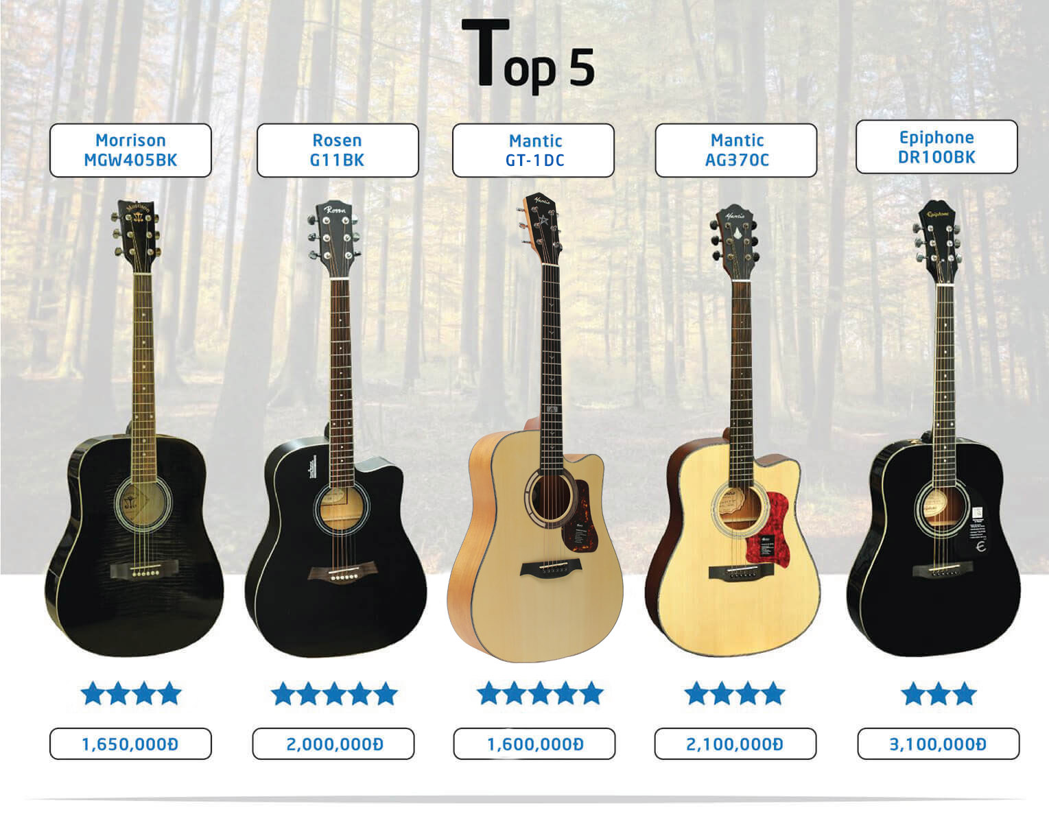 Top 5 đàn guitar acoustic giá rẻ chất lượng nhất năm 2021